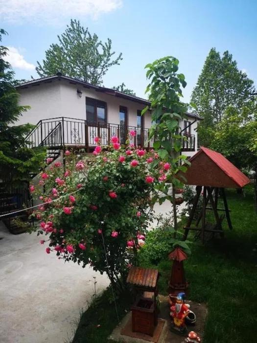 Casa Tibi Si Nico Ξενοδοχείο Eforie Nord Εξωτερικό φωτογραφία